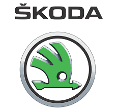 BAFFO GRIGLIA ANT Skoda